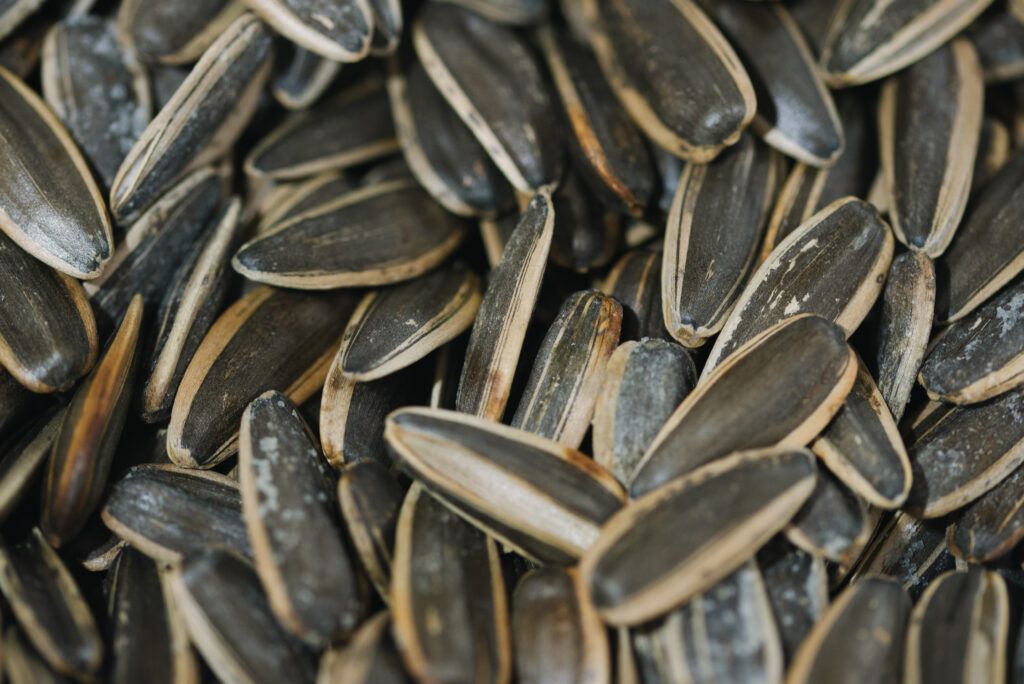 sunflower seeds